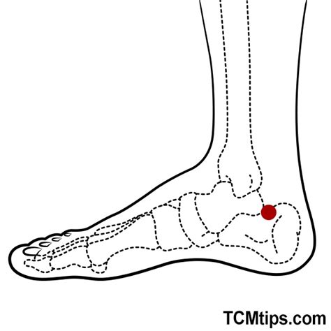 Acupressure Points For Foot Pain Easy Tcm Wisdom Your Path To Diy