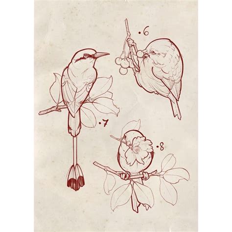 Pin De Ryan Begley Em Bird Drawings Tatuagens De Rosas Negras Ideias