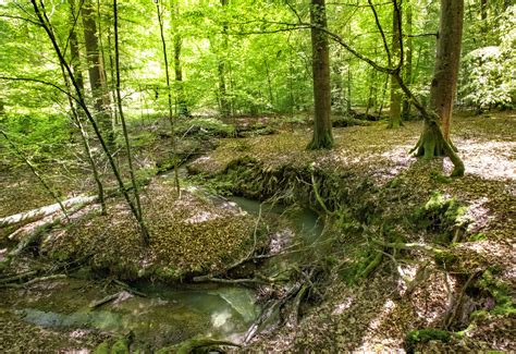 LU0002015 Junglinster region Natur Geopark Mëllerdall