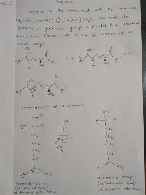 Arginine Organic Compound Msc Chemistry Studocu