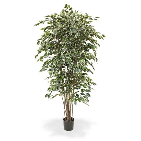 Ficus Arbre Artificielle Exotica Deluxe 210 cm panaché Maxifleur