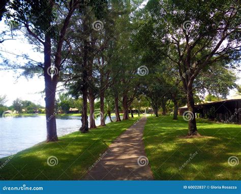 Path Way Around The Lake Stock Image Image Of Lake Flora 60022837