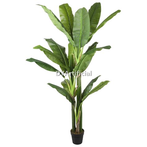 Artificial Banana Tree 200cm Indoor Dyartificial