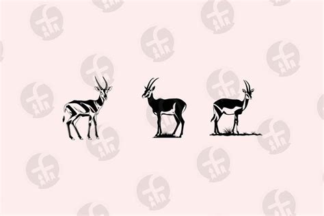 South African Springbok SVG Bundle 75 Cut Files Native Antelope of ...