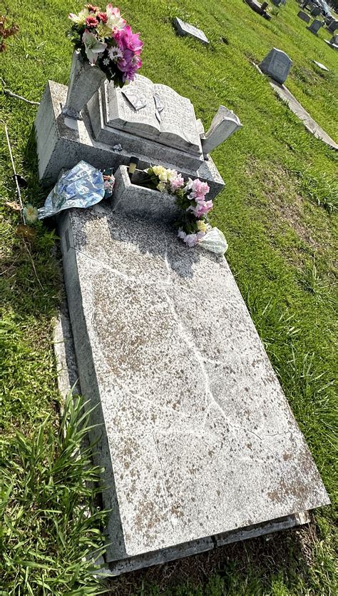 Obituary and Memorial Details for Lucitania Amador Nunez 12