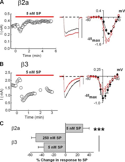 NK 1R Stimulation Elicits A Similar Profile Of N Current Modulation As