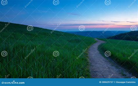 Picturesque Winding Path Through A Green Grass Field In Hilly Area At Sunset Stock Illustration