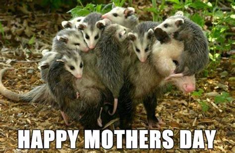 Funny Mothers Day Memes Jokes And One Liners For The Random