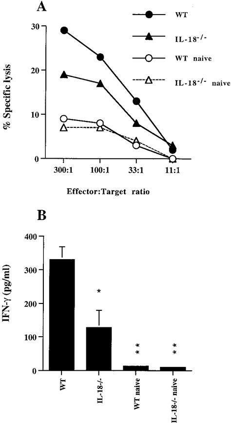 Functional Properties Of Nk Cells In Mog Cfa Immunized Mice A