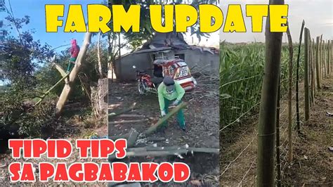 Matipid Na Paraan Ng Pagbabakod Update Sa Paglilinis Ng Ating Farm