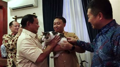 VIDEO Momen Kucing Bobby Temani Prabowo Subianto Terima Kunjungan