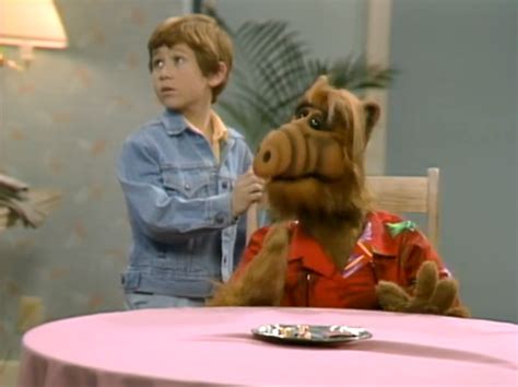 Alf Reviews Season One Reviewed Noiseless Chatter