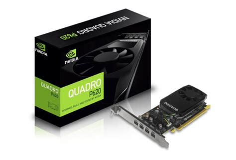 Nvidia Quadro P Gb Gddr Workstation Graphics Card