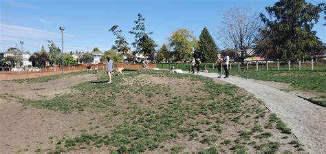 Sunset Park Off Leash Dog Park Vancouver Bc The Dog Network