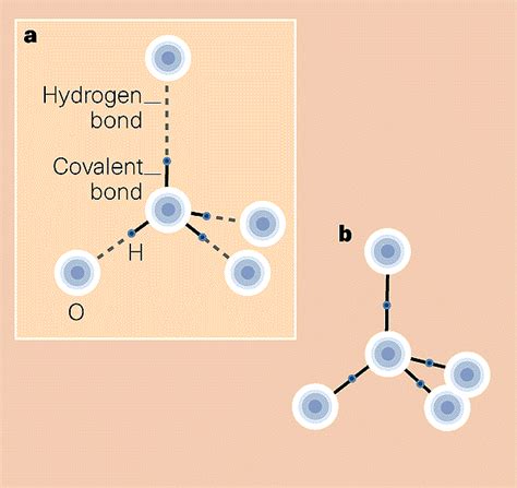 The double identity of ice X | Nature