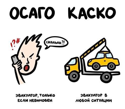 Осаго/каско | Смешные высказывания детей, Интересные факты, Забавные факты