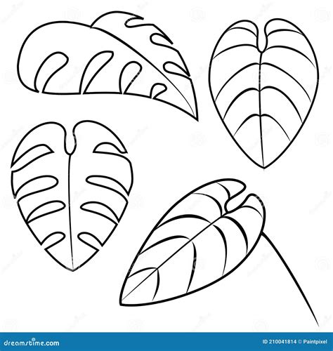 Tropical Leaf Black Outlines Stock Vector Illustration Of Jungle