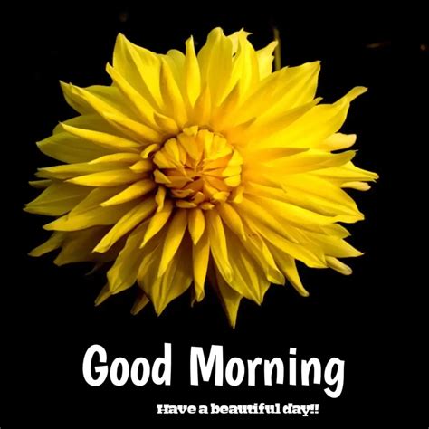 Stunning Collection Of Over Beautiful Good Morning Hd Images In Full K