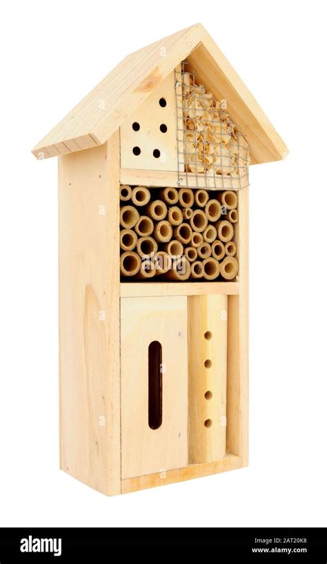 Bug House Stock Photos And Bug House Stock Images Alamy