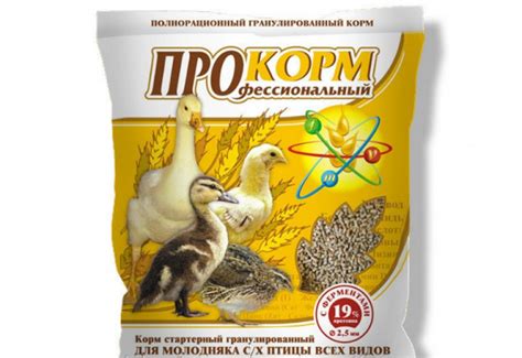 Какие витамины нужны утятам - Наши птички