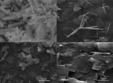 Pdf Preparation And Characterisation Of Al Doped Zno And Pvdf