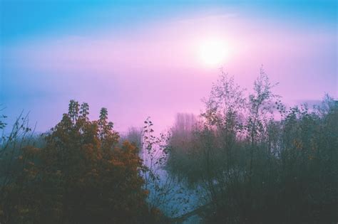 Nascer do sol roxo mágico sobre a paisagem rural da manhã enevoada do