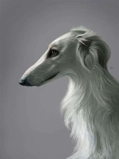 Russian greyhound, Diana Zaitseva | Greyhound, Animals, Animals and pets
