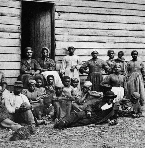 A Group Of Slaves Photograph By Photo Researchers Pixels