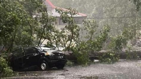 Pohon Besar Tumbang Timpa Mobil Di Kampus Itb Bandung Tidak Ada Korban