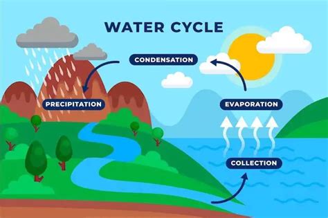 How Long Does It Take For Water To Evaporate From IPhone Darwin S Data