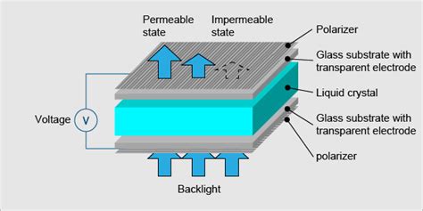 Perbedaan Layar Lcd Tft Ips Oled Dan Amoled Pada Hp