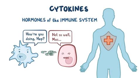 Cytokines - Osmosis