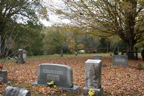 Boston Cemetery In Sulphur Well Kentucky Find A Grave Begraafplaats