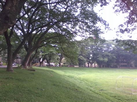 Travel And Tourism Up Dilimans Trees Sunken Garden