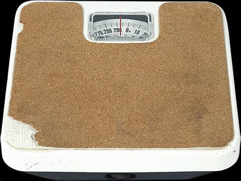 brown scale beige  stock photo freeimages