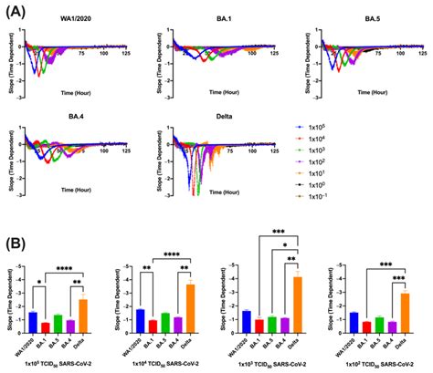 Slope Of Vero Tmprss2 Monolayers Inoculated With Sars Cov 2 Variants Download Scientific