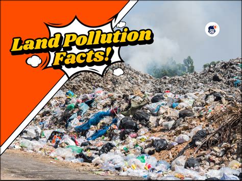 32 Land Pollution Facts Understanding The Impact On Our Environment