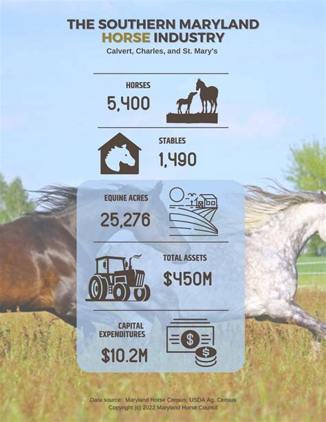 Horse Industry in Annapolis - Maryland Horse Foundation