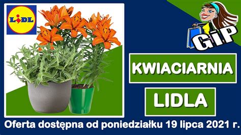 Lidl Oferta Od Poniedzia Ku Kwiaciarnia Lidla Youtube