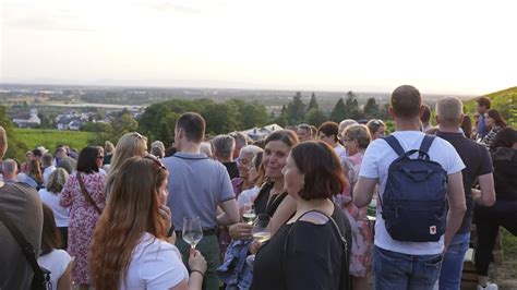 Gutsfest Ein Sensationeller Erfolg Weingut Schloss Ortenberg