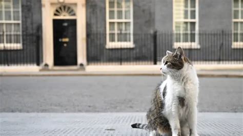 约翰逊辞去保守党党魁职务：导致他“落马”的五件事 Bbc News 中文