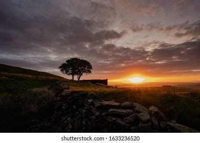 Im Genes De Wuthering Heights Im Genes Fotos Y Vectores De Stock