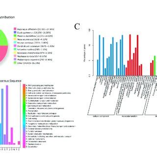 The Annotation Results Of All Identified Transcripts In Iris Rhizome