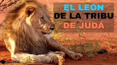 ¿qué Significa Jesús El León De La Tribu De Judá 【holybiblia】