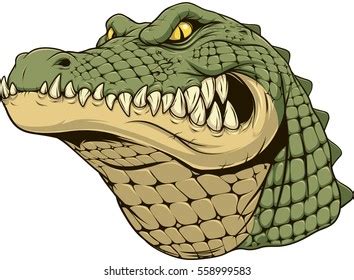 Alligator Head Royalty Free Stock SVG Vector and Clip Art