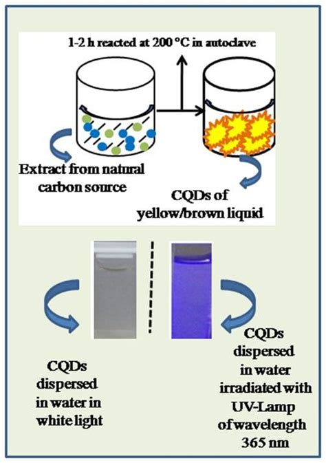 Schematics To Prepare Cqds Via Hydrothermal Solvothermal Method Using