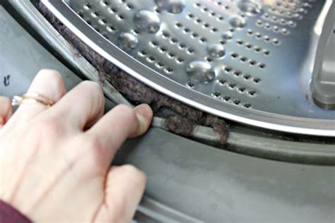 How To Clean Lg Front Load Washer Gasket My Heart Lives Here