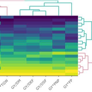 Cluster Analysis Of Genotypes And Yieldtrait Combinations Based On