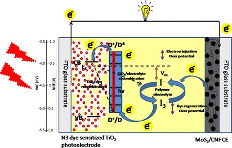 0the Schematic Representation Of Dssc Based On Mos2cnf Ce Under Download Scientific Diagram