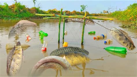 Diy Plastic Bottle Fish Trap Traditional Hook Fishing Unveiled Pobse